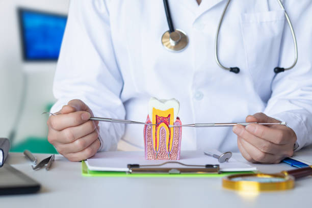 Best Emergency Treatment for Dental Infections or Abscesses in Wilmerding, PA